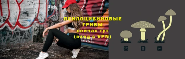 индика Карталы