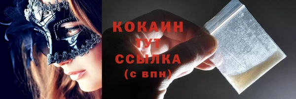 индика Карталы