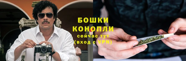 spice Карпинск