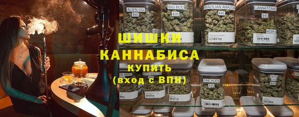индика Карталы