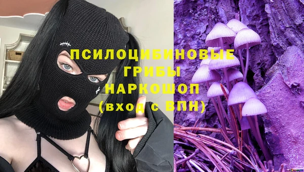 гашиш Касимов