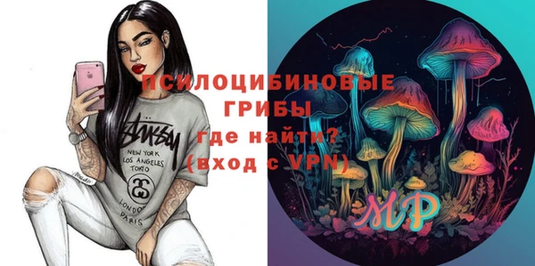 индика Карталы