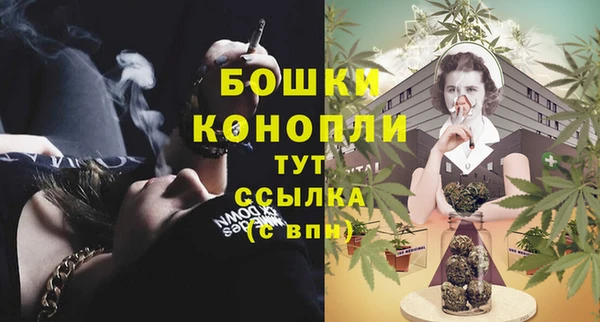 индика Карталы