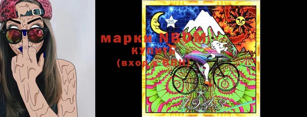 индика Карталы