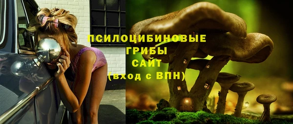 индика Карталы