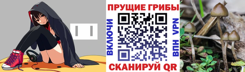 Псилоцибиновые грибы Magic Shrooms Слюдянка