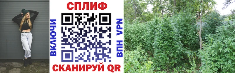 Шишки марихуана LSD WEED  Купить где  Слюдянка 